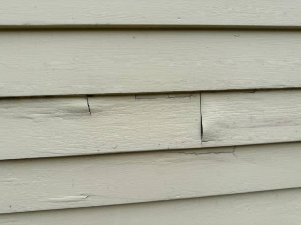 Best Fiber Cement Siding Installation  in Englewood, NJ